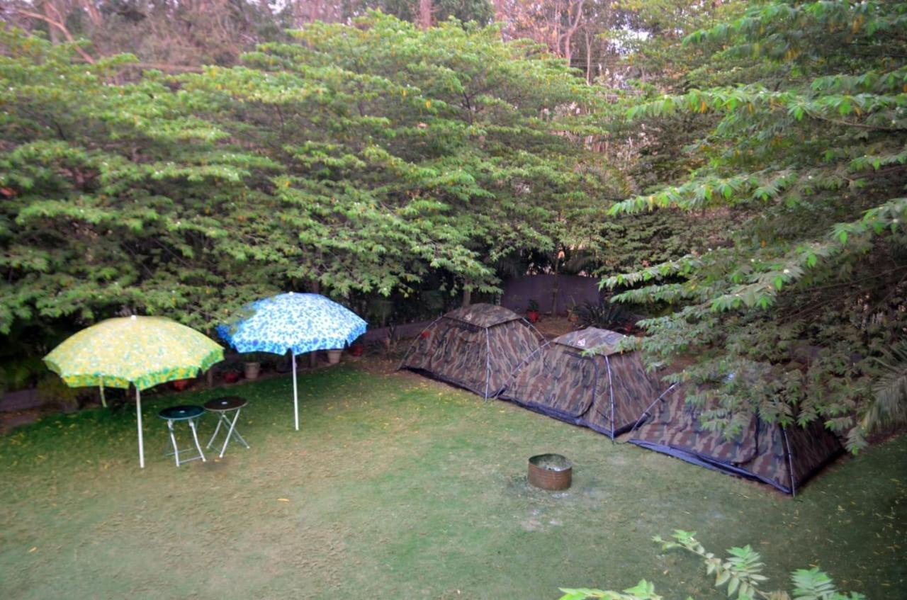 Dandeli Jungle Resort Buitenkant foto