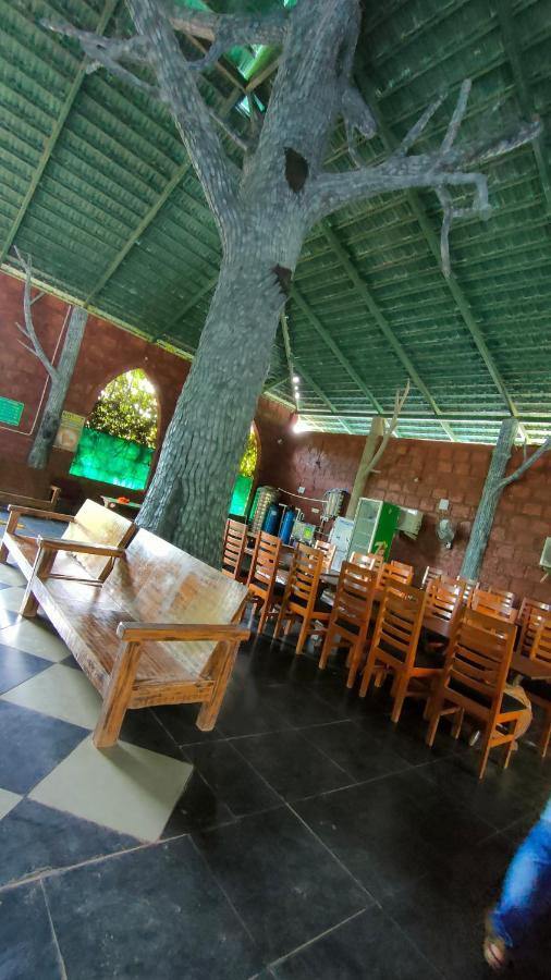 Dandeli Jungle Resort Buitenkant foto