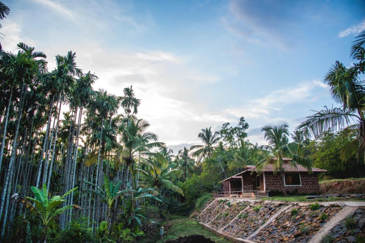Dandeli Jungle Resort Buitenkant foto
