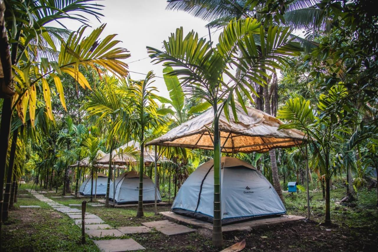 Dandeli Jungle Resort Kamer foto